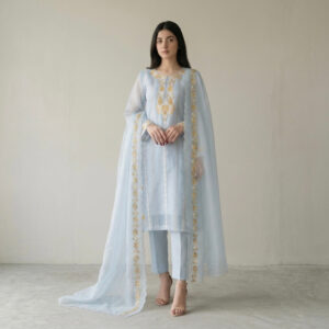 Neelam Organza Suit